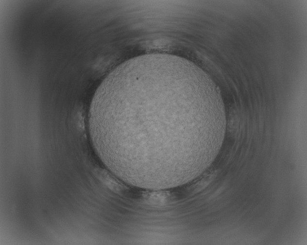 X0000073410282200608181103