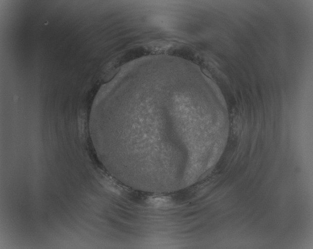 X0000073410283200608181103