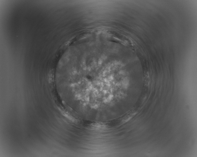 X0000073410284200608181103