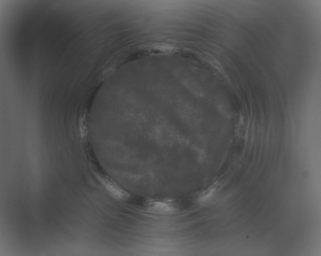 X0000073410285200608181103