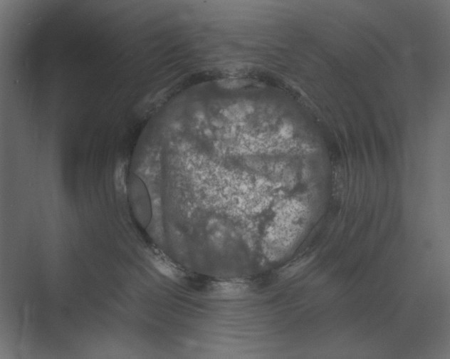 X0000073410286200608181103