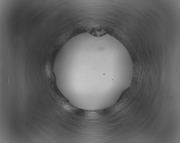 X0000073410287200608181103