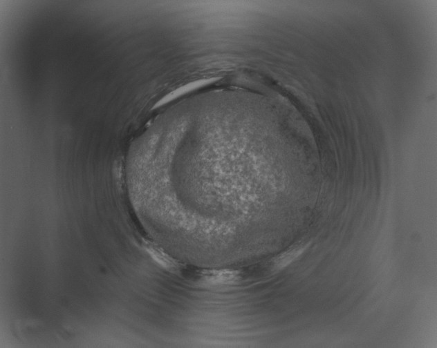 X0000073410288200608181103