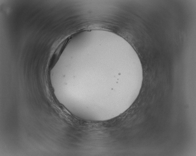 X0000073410289200608181102