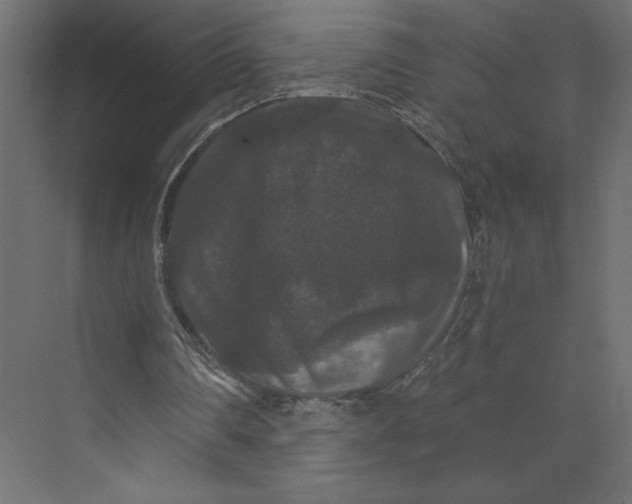 X0000073410290200608181102