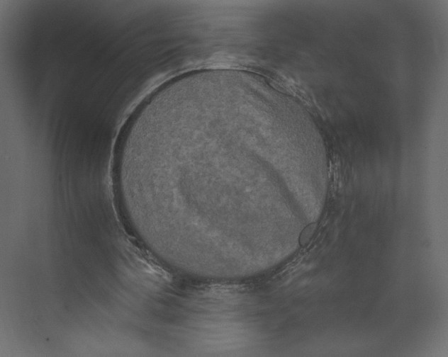 X0000073410292200608181102