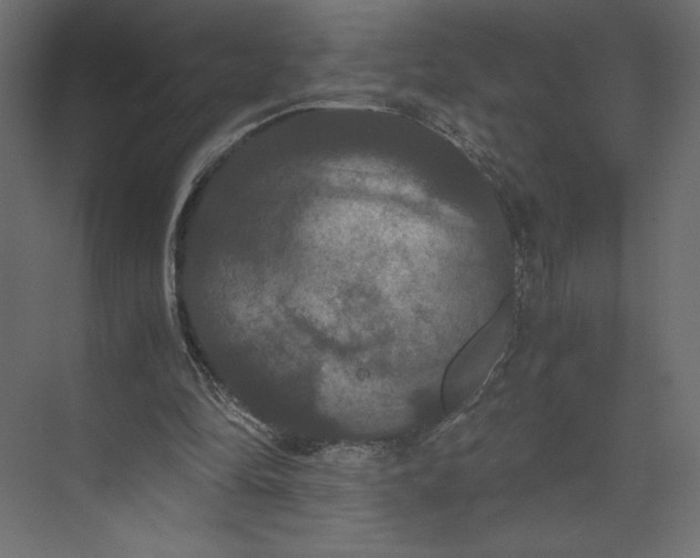 X0000073410294200608181102