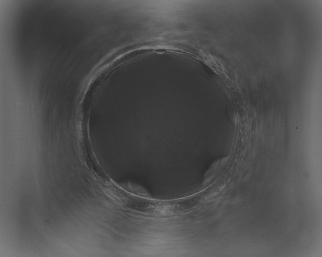 X0000073410295200608181102