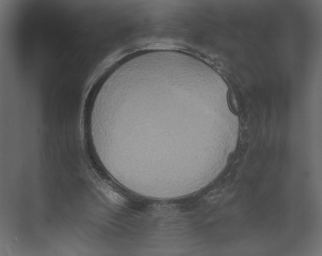 X0000073410296200608181102