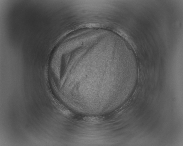 X0000073410297200608181102