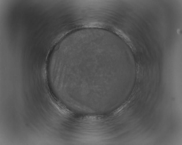 X0000073410298200608181102