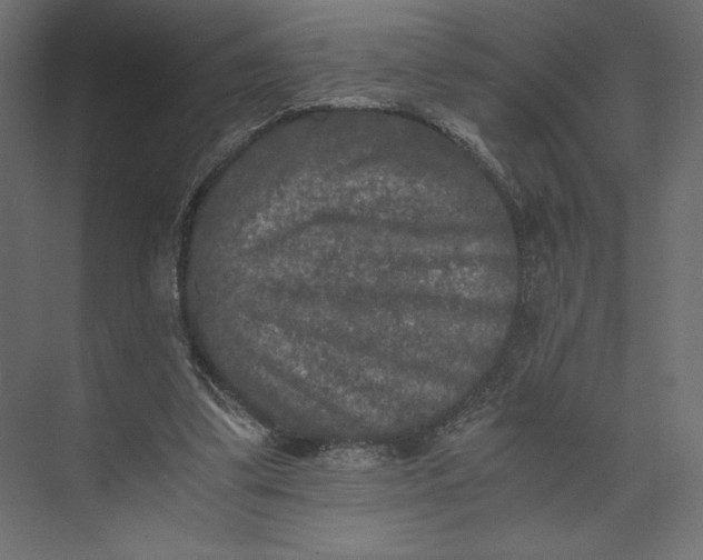 X0000073410299200608181102