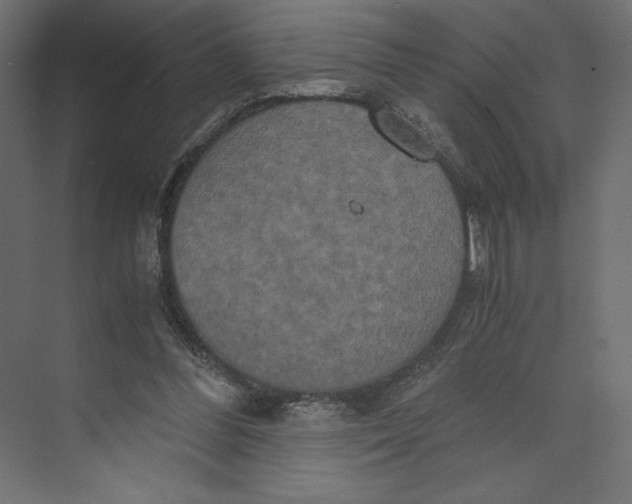 X0000073410300200608181102