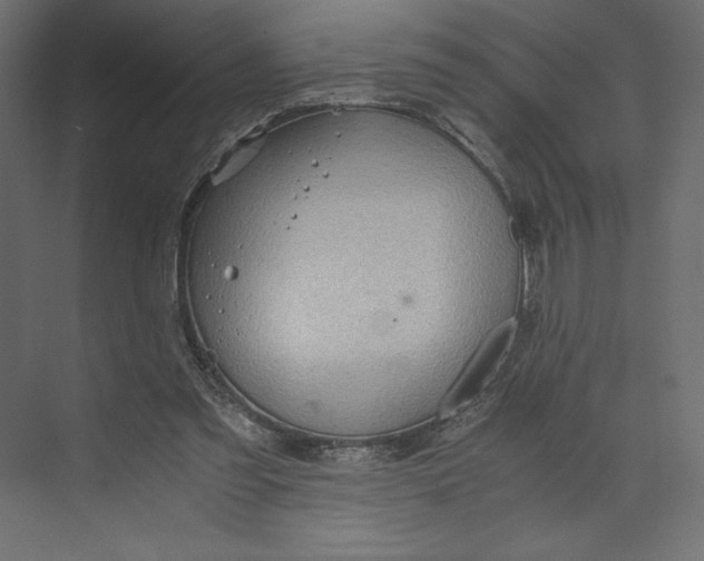 X0000073410301200608181102