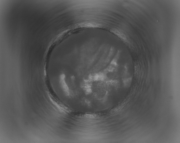 X0000073410302200608181102