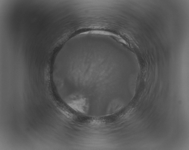 X0000073410303200608181102