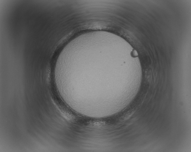 X0000073410304200608181102