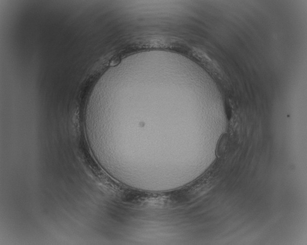 X0000073410306200608181102