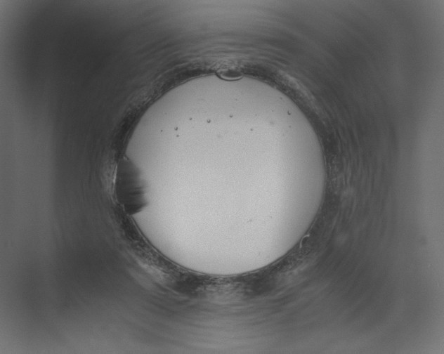 X0000073410307200608181102