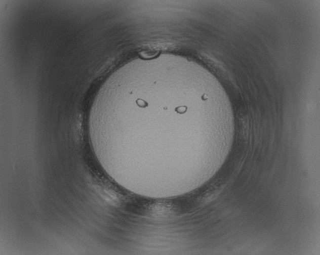 X0000073410308200608181102