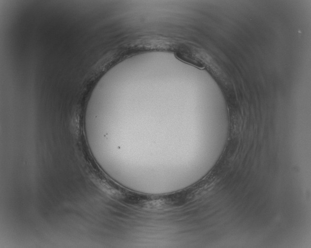 X0000073410309200608181102