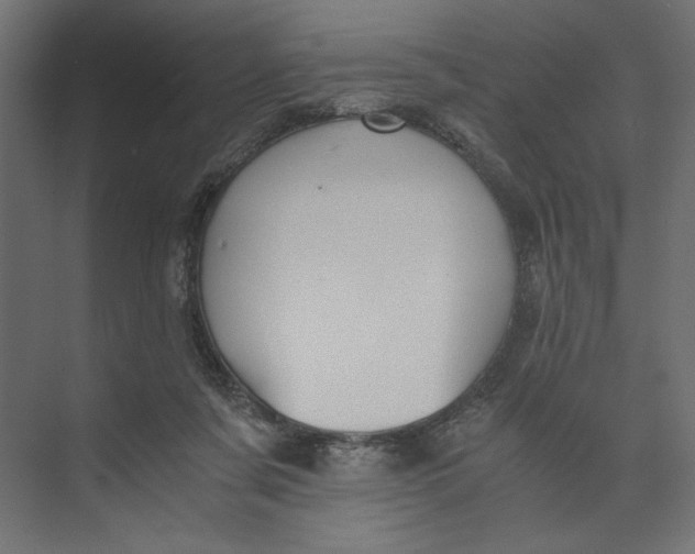 X0000073410311200608181102