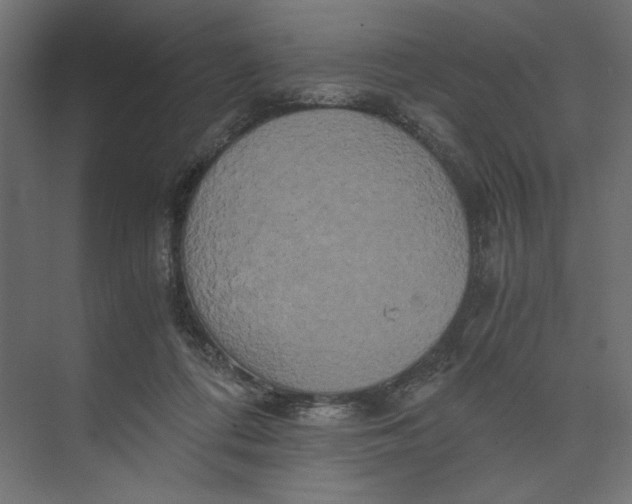 X0000073410312200608181102