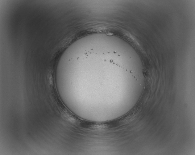 X0000073410313200608181102