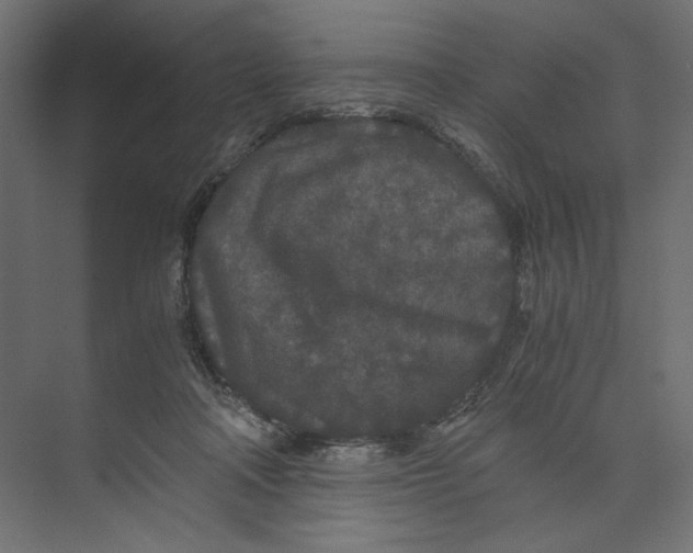 X0000073410314200608181102