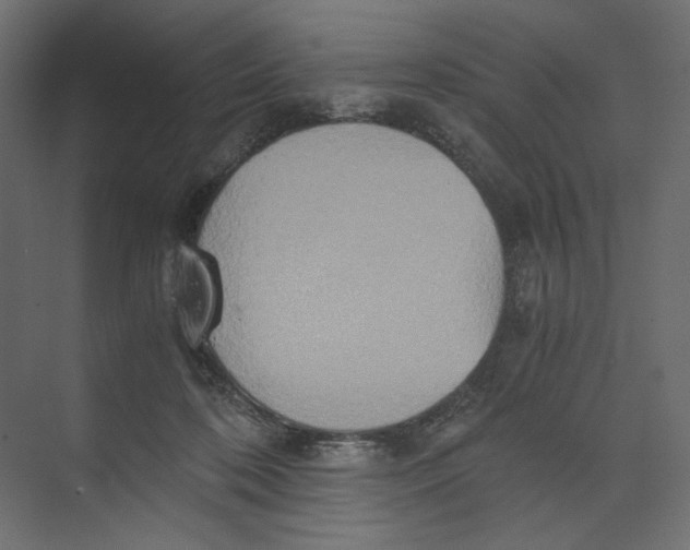 X0000073410316200608181102