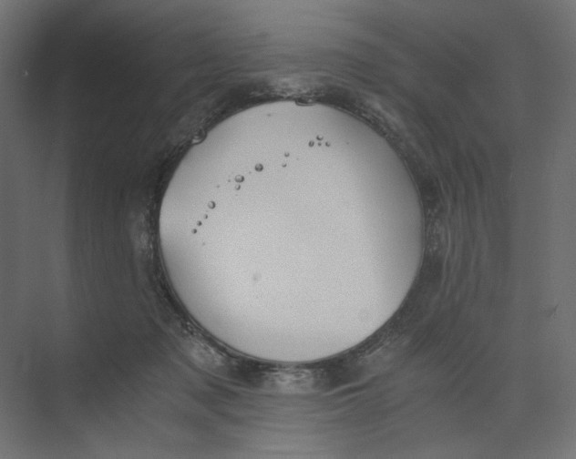 X0000073410317200608181102