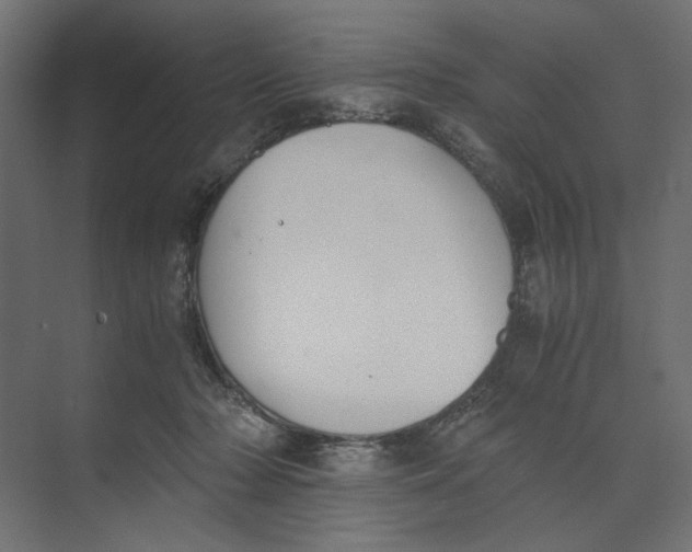 X0000073410318200608181102