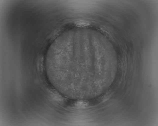 X0000073410319200608181102