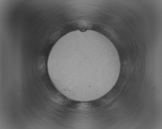 X0000073410320200608181102