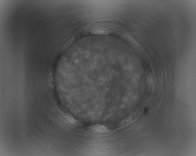 X0000073410322200608181102