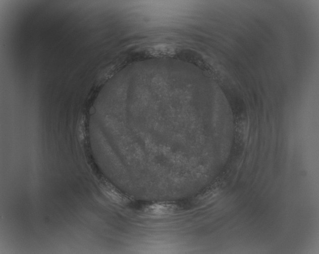 X0000073410323200608181102