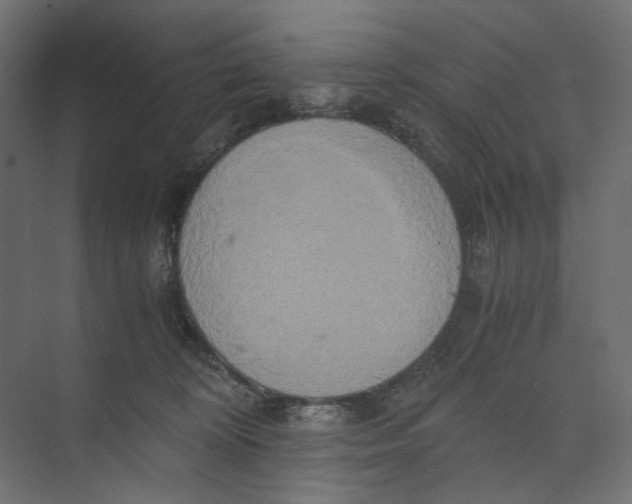 X0000073410324200608181102