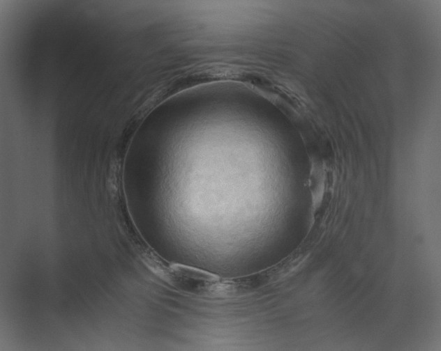 X0000073410325200608181102