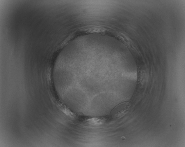 X0000073410326200608181102