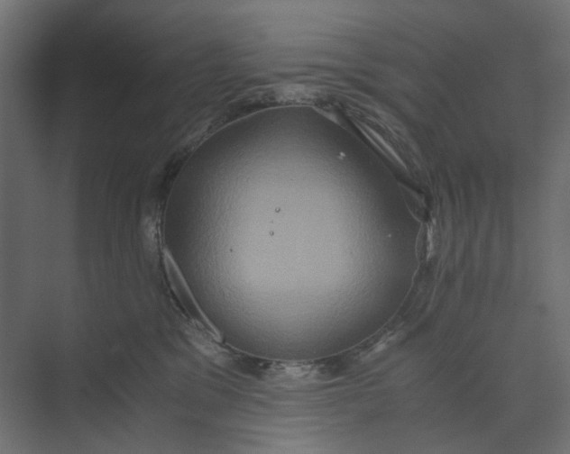 X0000073410329200608181102