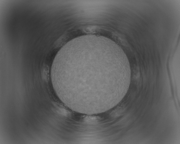 X0000073410332200608181101