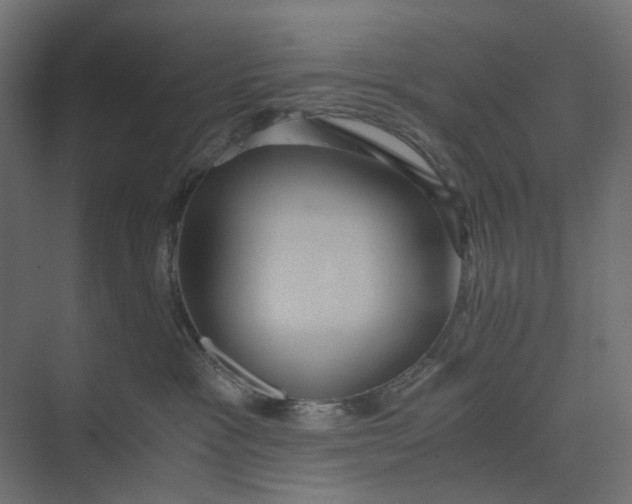 X0000073410333200608181101