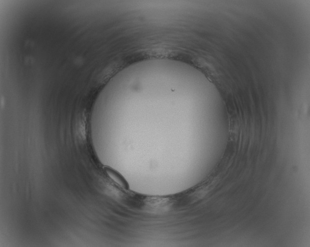 X0000073410334200608181101