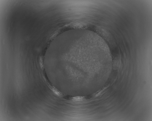 X0000073410335200608181101