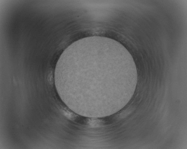 X0000073410336200608181101