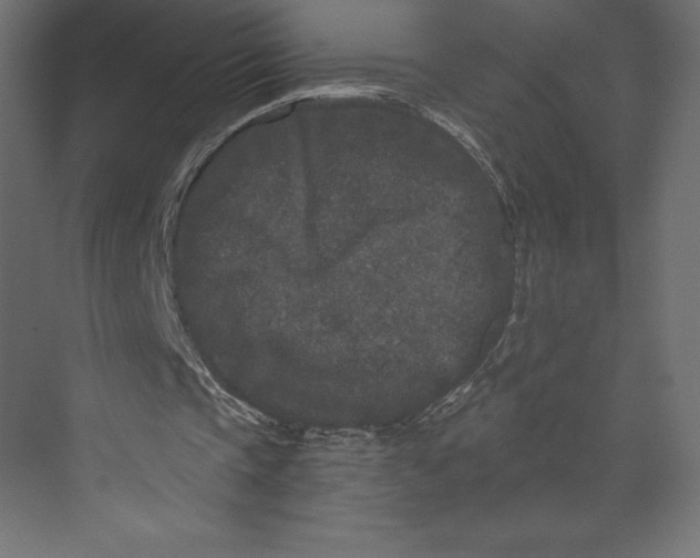 X0000073410337200608181101