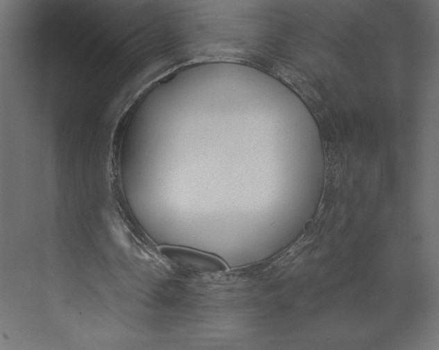 X0000073410338200608181101