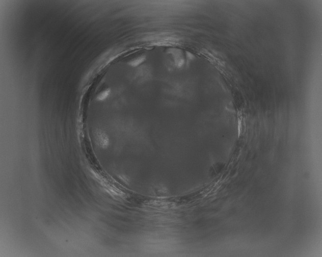 X0000073410339200608181101