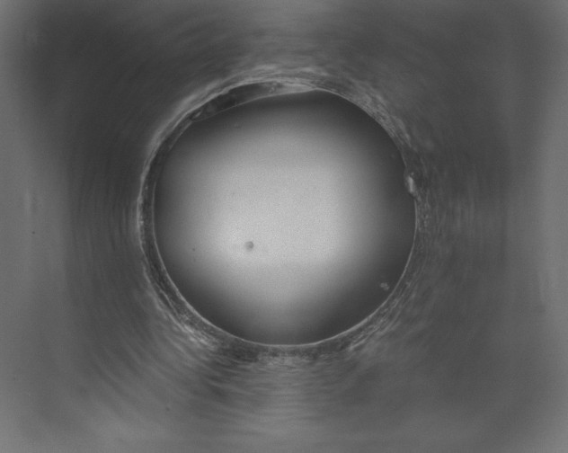 X0000073410340200608181101