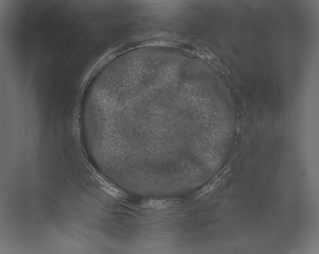 X0000073410341200608181101